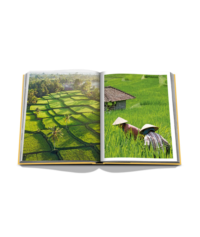 ASSOULINE Book "Bali Mystique"