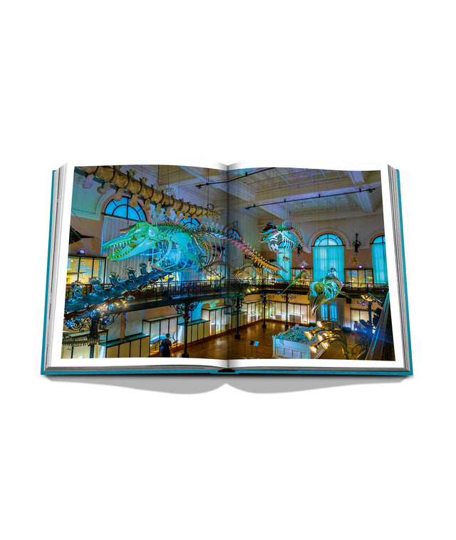 ASSOULINE book "Monte Carlo"