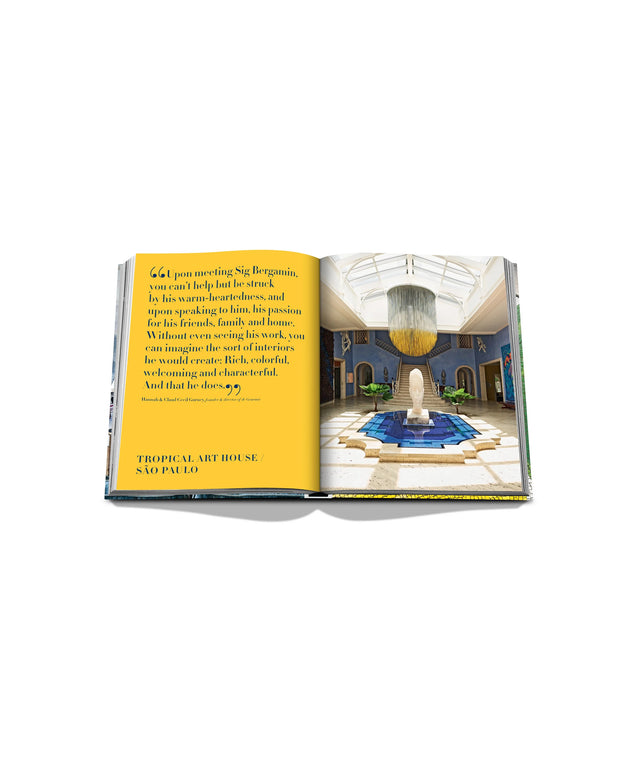 ASSOULINE book "Art Life by Sig Bergamin"