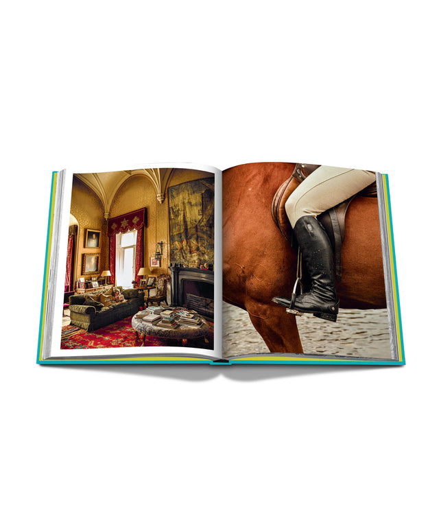 ASSOULINE book "Chic Stays"