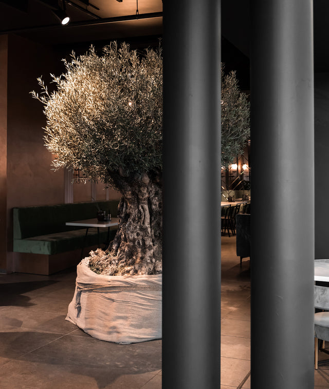 Restaurant Olive kitchen