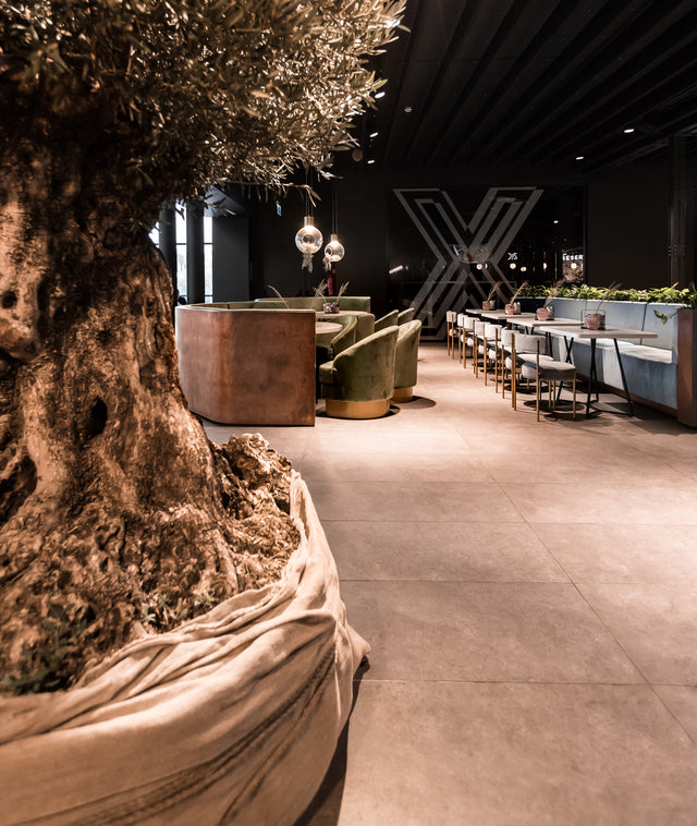 Restaurant Olive kitchen