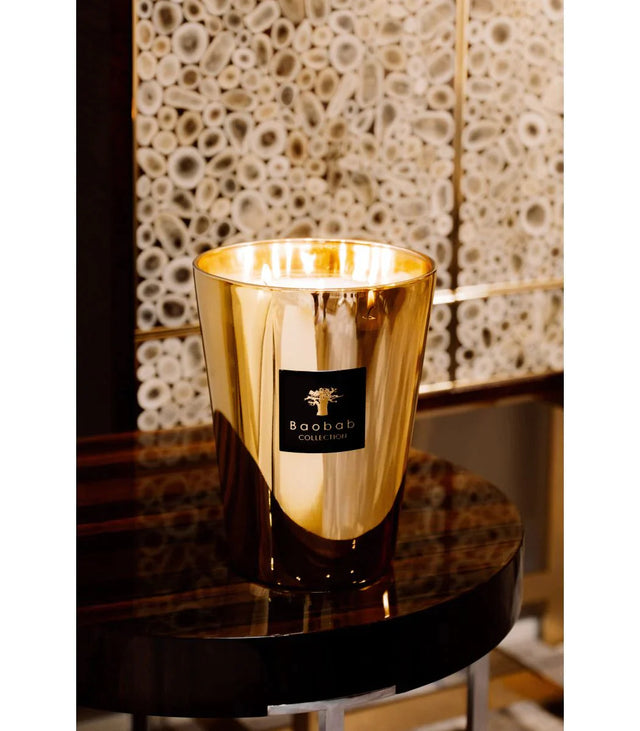 Baobab Collection "Aurum" candle