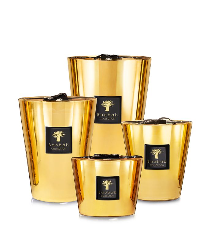 Baobab Collection "Aurum" candle