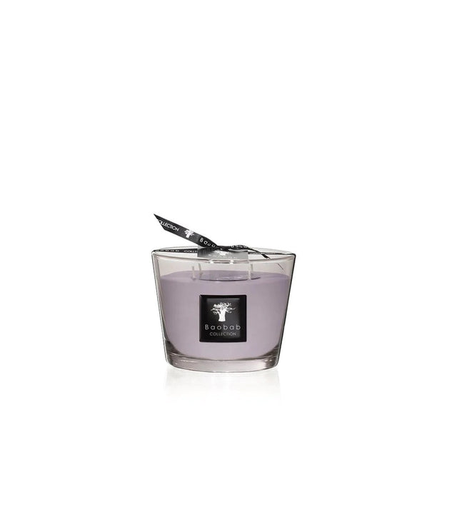 Baobab Collection "White Rhino" candle