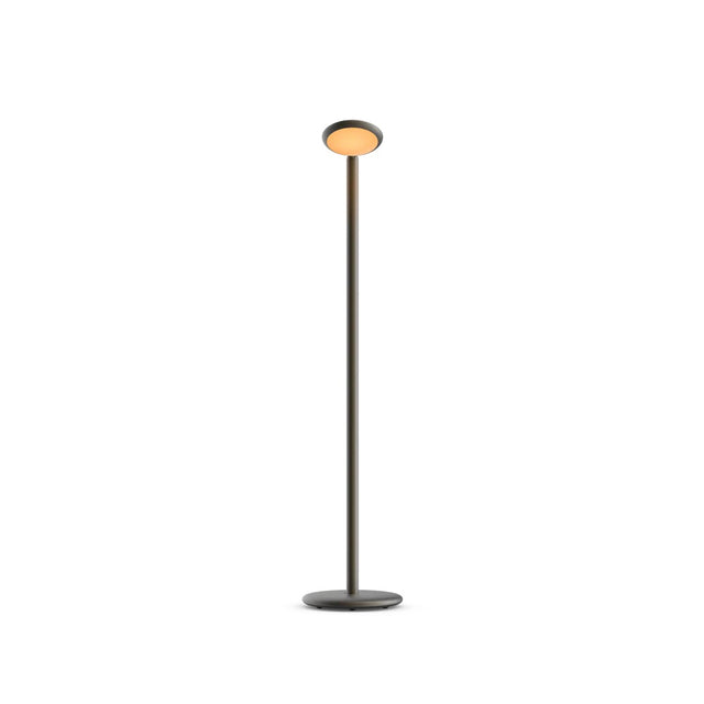 Parrot floor lamp