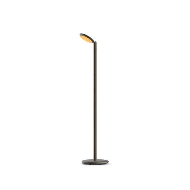Parrot floor lamp