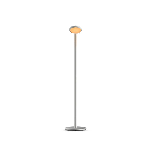 Parrot floor lamp