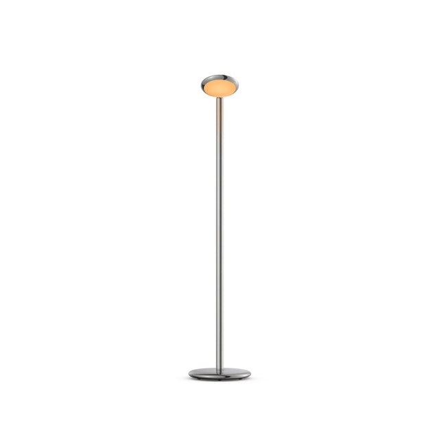 Parrot floor lamp