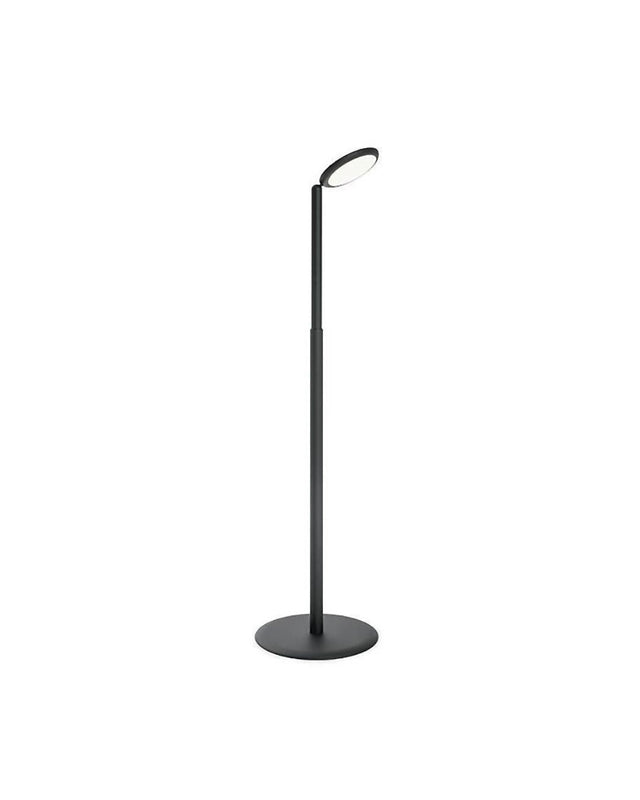 Parrot Floor Lamp | Grau